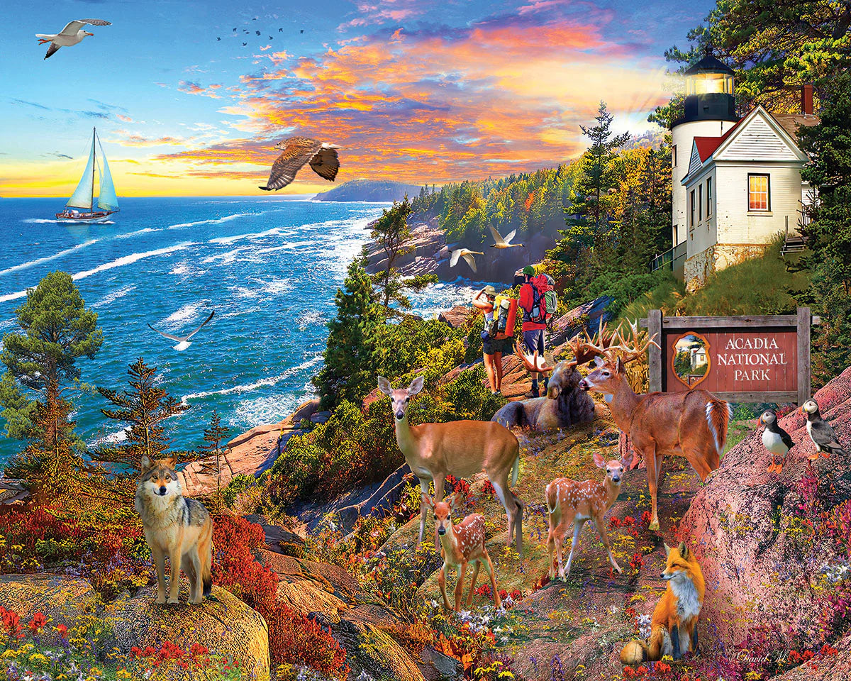 Acadia National Park, David Mclean