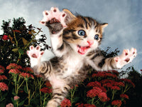 Chicken Pounce (3D Puzzle) (500pcs)