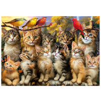Chatons et oiseaux (500pcs)
