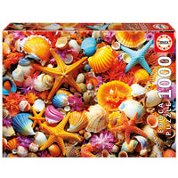 Collage de coquilles (1000pcs)