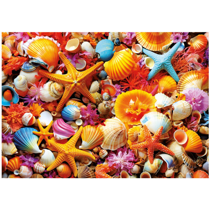 Collage de coquilles (1000pcs)
