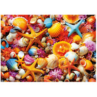 Collage de coquilles (1000pcs)