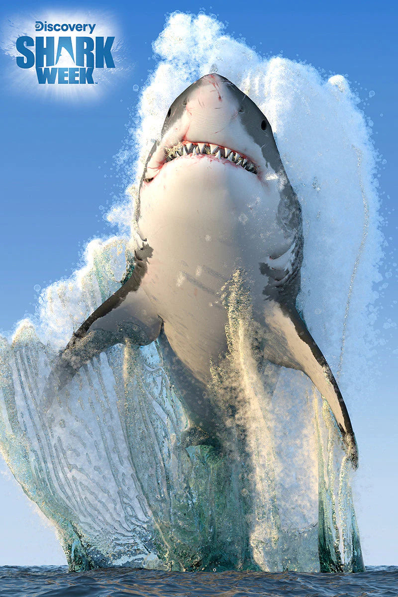 Discovery Shark Week - Great White Shark (Puzzle 3D) (150pcs)