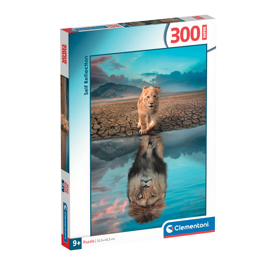 Self Reflection (300pcs)