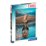 Auto-réflexion (300pcs)