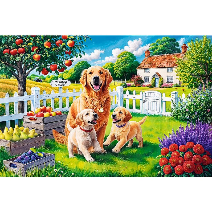 Dogs in the Countryside (300pcs) (EasyPiece)