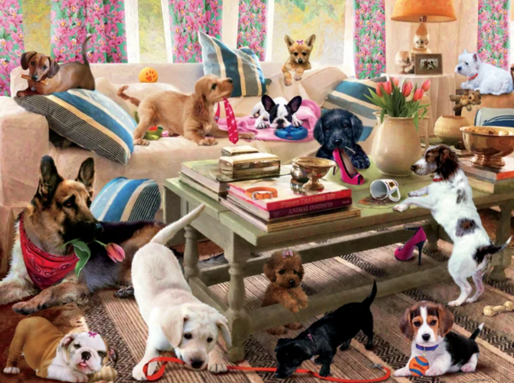 DMG Paws Gone Wild - Living Room Rompers (DAMAGED BOX)