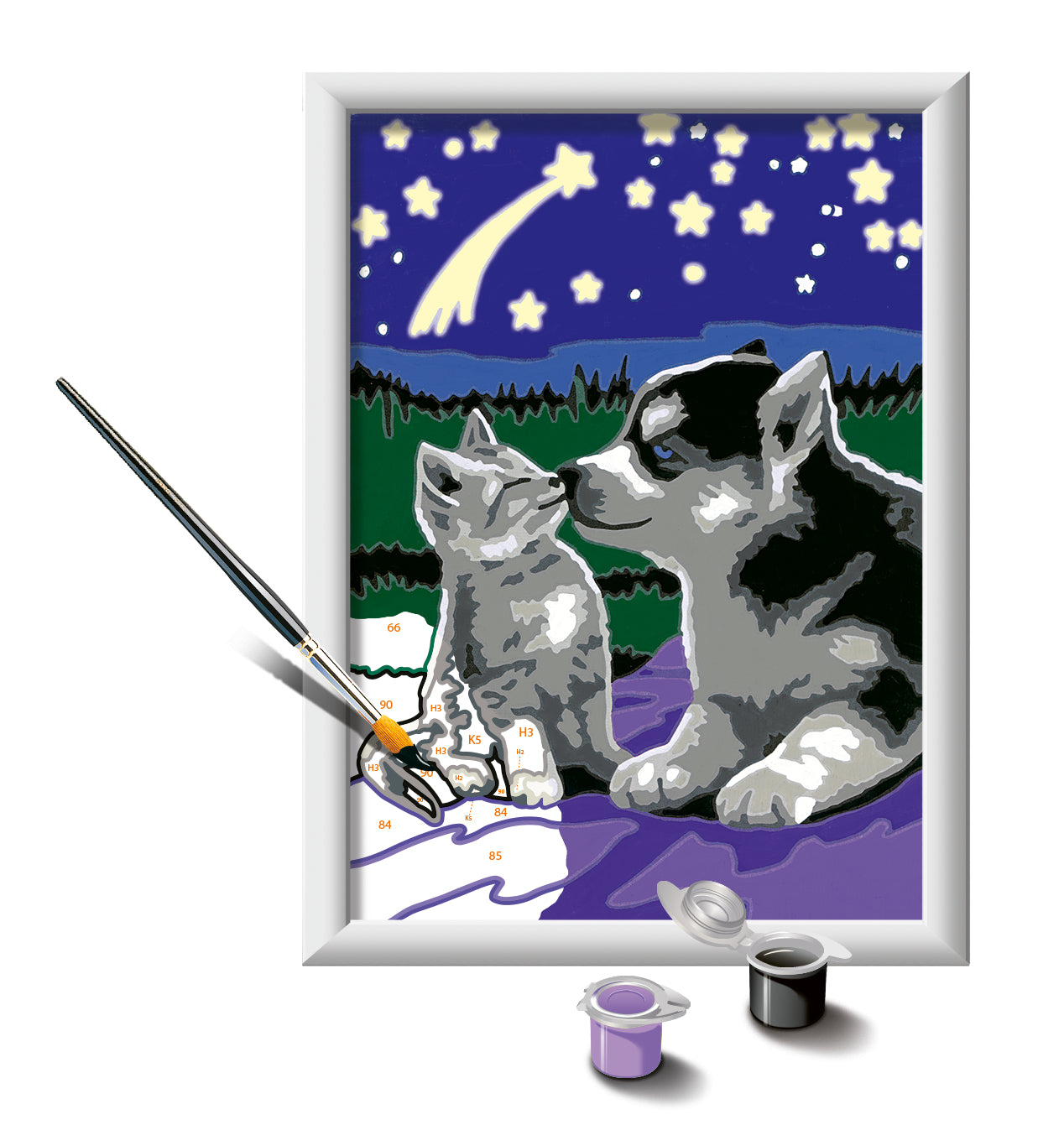 Ravensburger CreArt - Moonlight Friends (Paint-by-number)