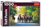 PFG English Thoroughbred Stallions (Usage/Used - PUZZLES FOR GOOD)