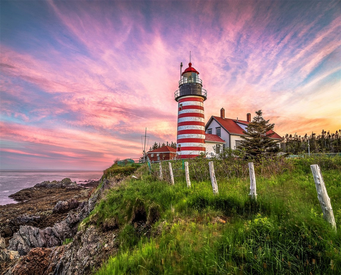 PFG West Quoddy Head Lighthouse, Benjamin Williamson (1000pcs) (Usage/Used - PUZZLES FOR GOOD)
