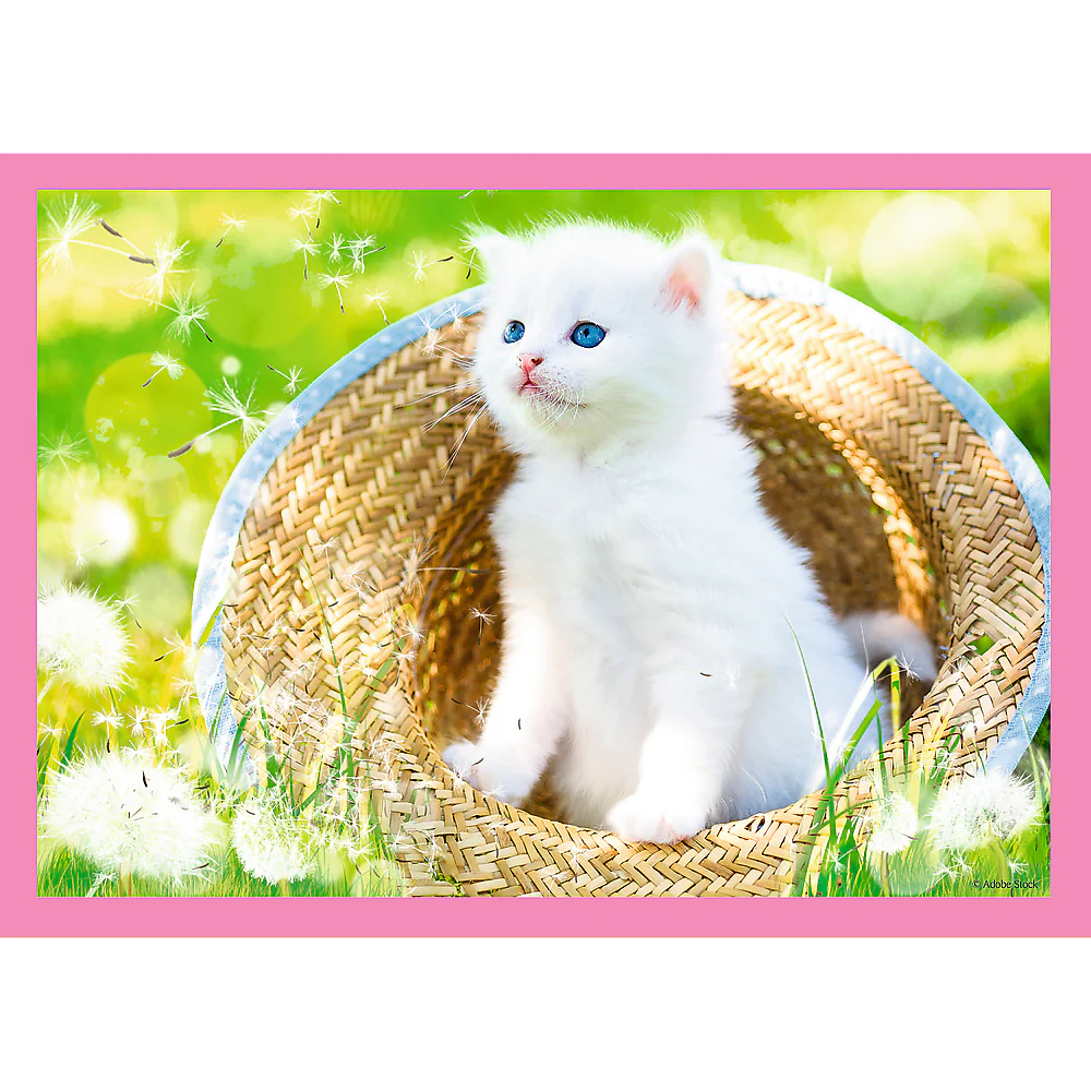 4-in-1 Fun Cats (35, 48, 54, 70 pcs)