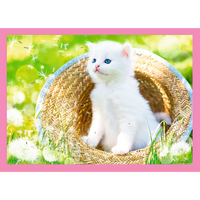 4 en 1 chats amusants (35, 48, 54, 70 PC)