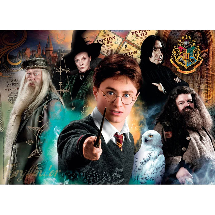 Harry Potter - Wand Up (500pcs)