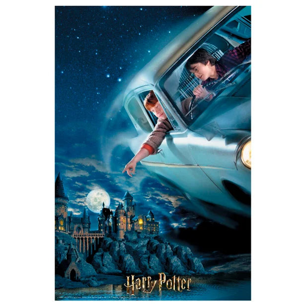 3D - Harry Potter - Harry Potter & Ron Flying over Hogwarts - Collectable Tin Book (300pcs)
