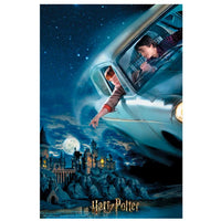3D - Harry Potter - Harry Potter et Ron survolant Poudlard - Book à collectionnable (300pcs)