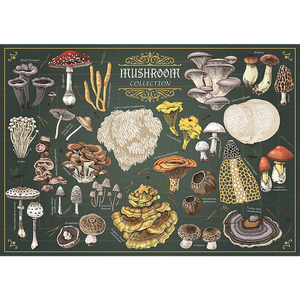 Finders Keepers - Mushroom Collection (500pcs)