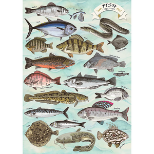 Finders Keepers - Fish Collection (500pcs)