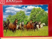 PFG Wild Horses in the Field (1000pcs) (Usage/Used - PUZZLES FOR GOOD)