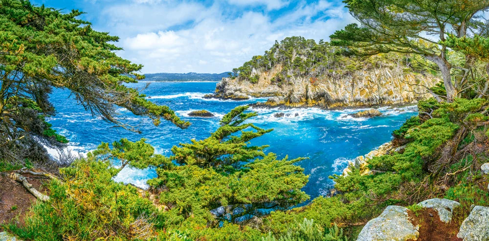 Côte californienne (4000pcs)