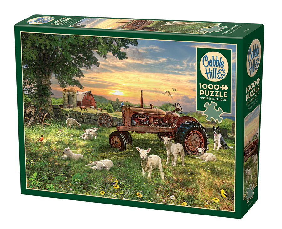 Field at Sunrise, Greg Giordano (1000pcs)