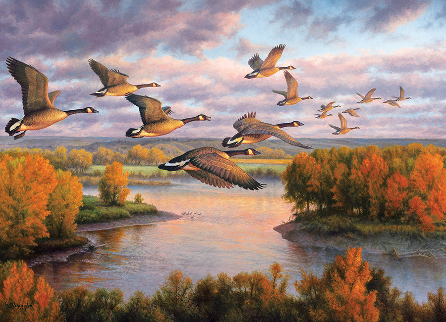 Migration (1000pcs)