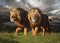 Approaching Storm (1000pcs)