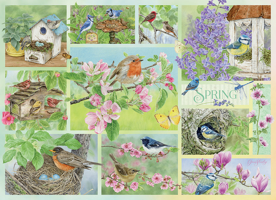 Garden Birds in Spring (500pcs)