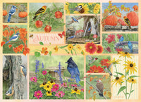 Garden Birds in Autumn (500pcs)