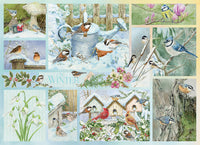 Oiseaux de jardin en hiver (500pcs)