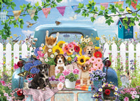 Country Truck in Summer (500pcs)