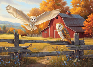 Barn and Owls (500pcs)