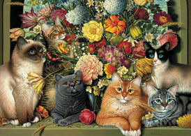 PFG Boucat (Usage/Used - PUZZLES FOR GOOD)