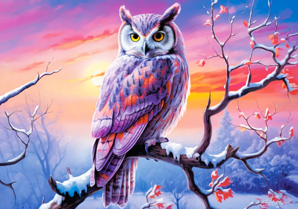Soirée parfaite de Owl (500pcs)