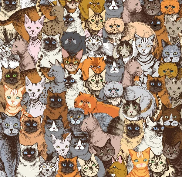 Challenge - Cats (Double-Sided) (500pcs)