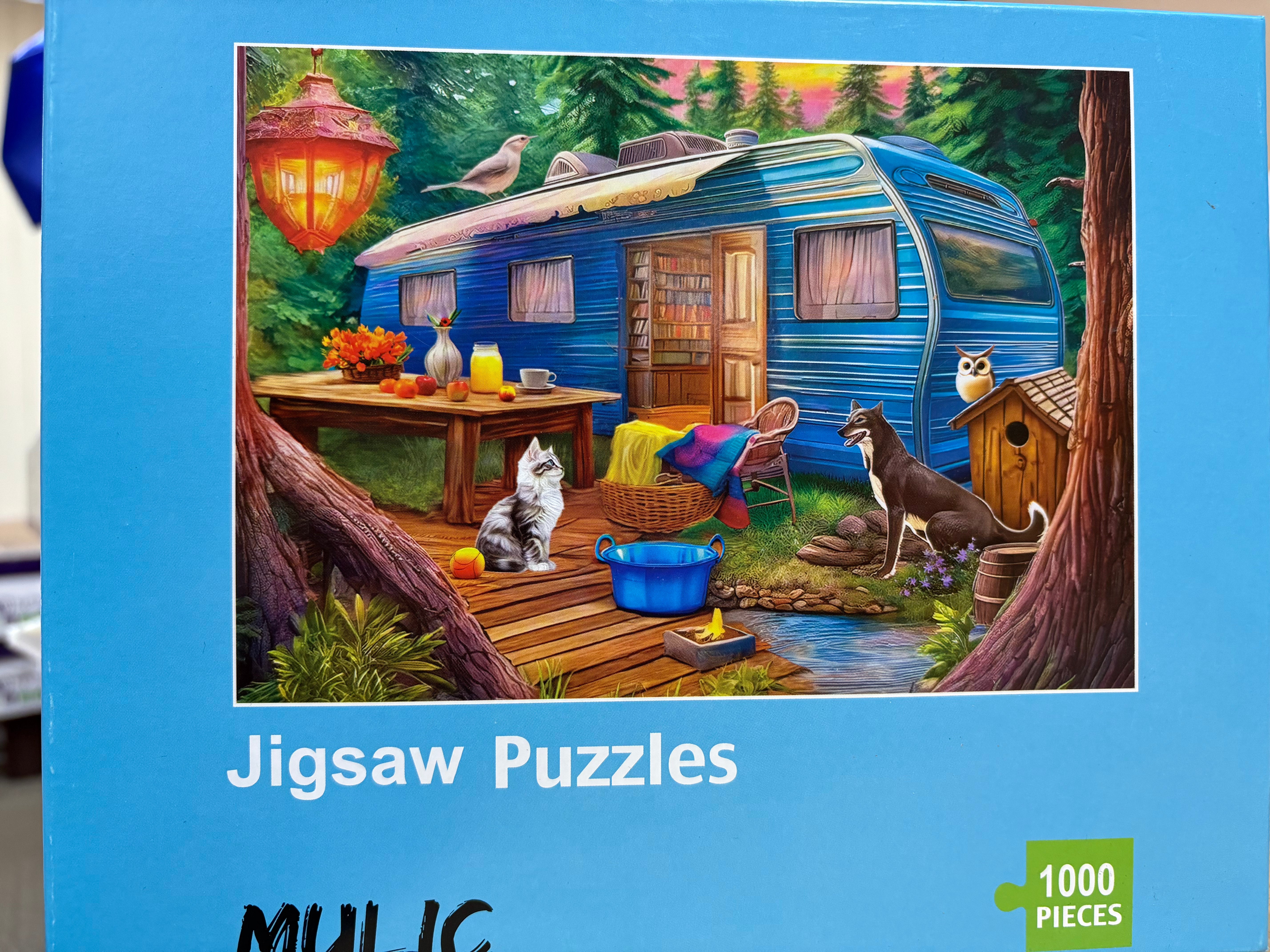 PFG Camper Life (Usage/Used - PUZZLES FOR GOOD)