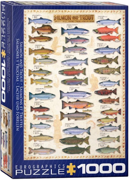 Salmon & Trout