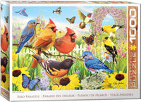 Oiseaux d'arrière-cour, Greg Giordano (1000pcs)