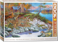 Visiteurs de cabine, Hayden Lambon (1000pcs)