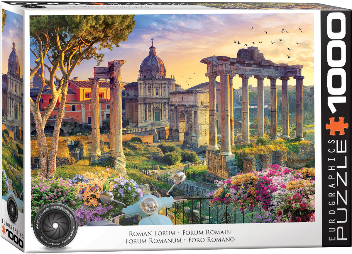 PFG HDR Photography - Roman Forum, Rome, Italy (1000pcs) (Usage/Used - PUZZLES FOR GOOD)