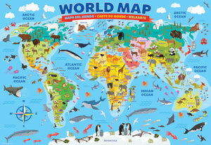 Map of the World (100pcs)