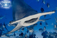 Discovery - Shark Week - Hammerhead Shark (3D Puzzle) (150pcs)