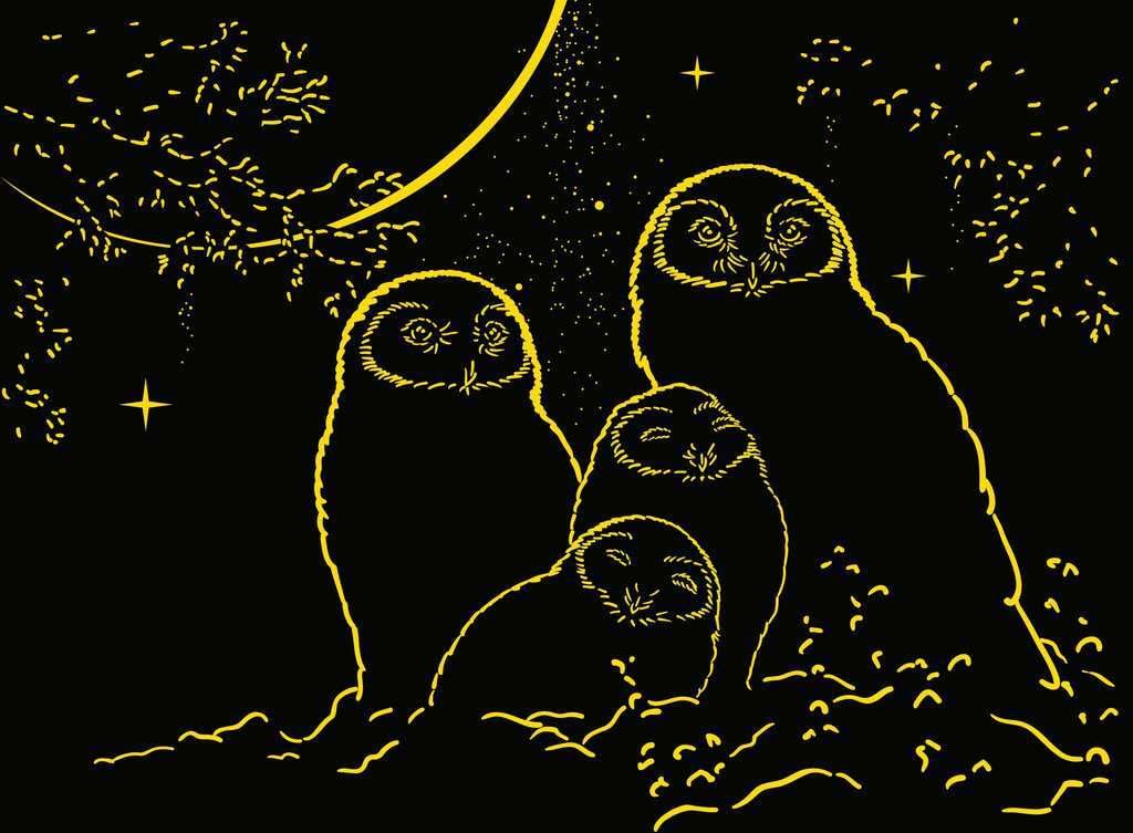 Ravensburger Hiboux au clair de lune (500 pièces) (Phosphorescents)