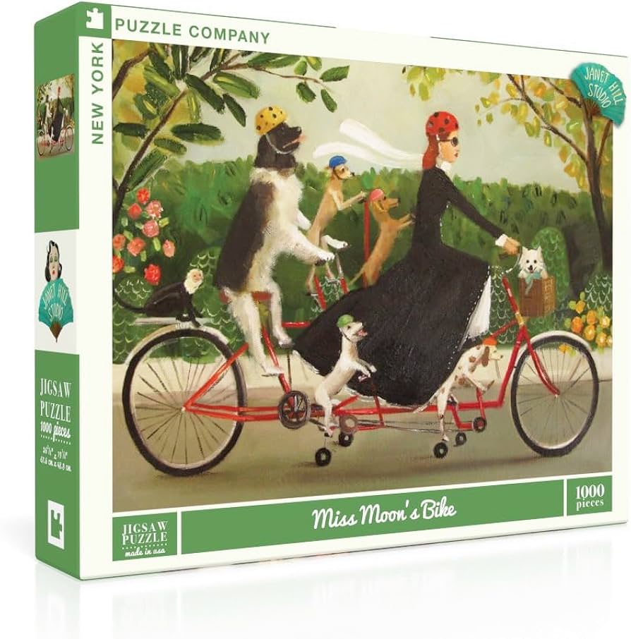PFG Miss Moon's Bike (UIsage/Used - PUZZLES FOR GOOD)