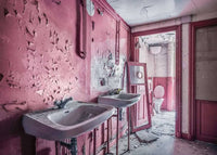 Ravensburger Lost Places - Pink Dreams (1000pcs)