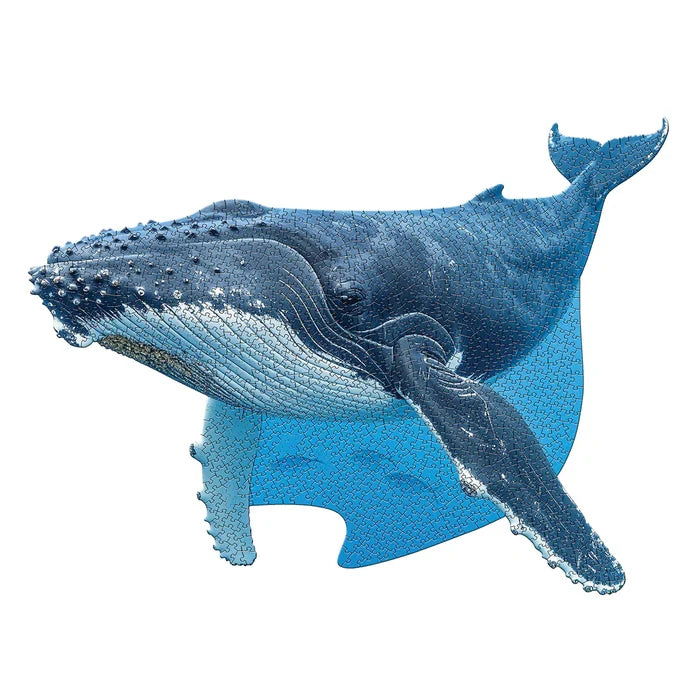 I Am Humpback Whale (1000pcs)