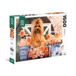 PFG The Essentials: Cute Golden York (Les Inontournables: Mignon Golden York) (1500pcs) (utilisation / Utilisé - Puzzles pour de bon)