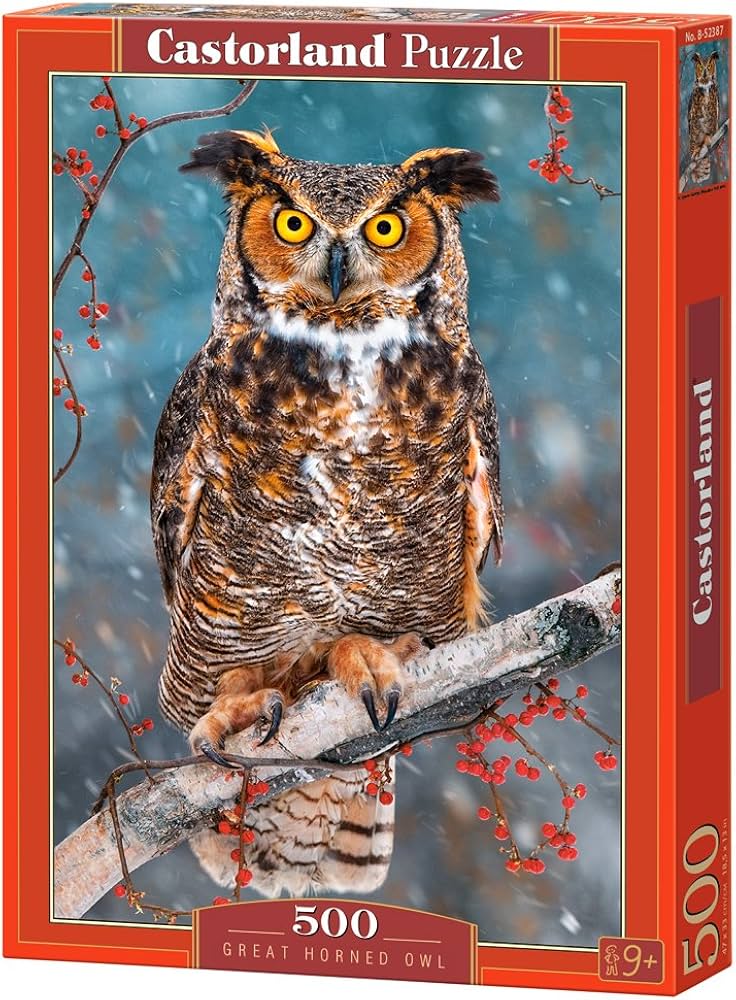 Super hibou à cornes, Steve Gettle (500pcs)
