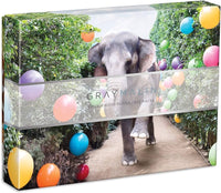 PFG Gray Malin au parc - Puzzle double face (utilisation / utilisée - Puzzles pour de bon)