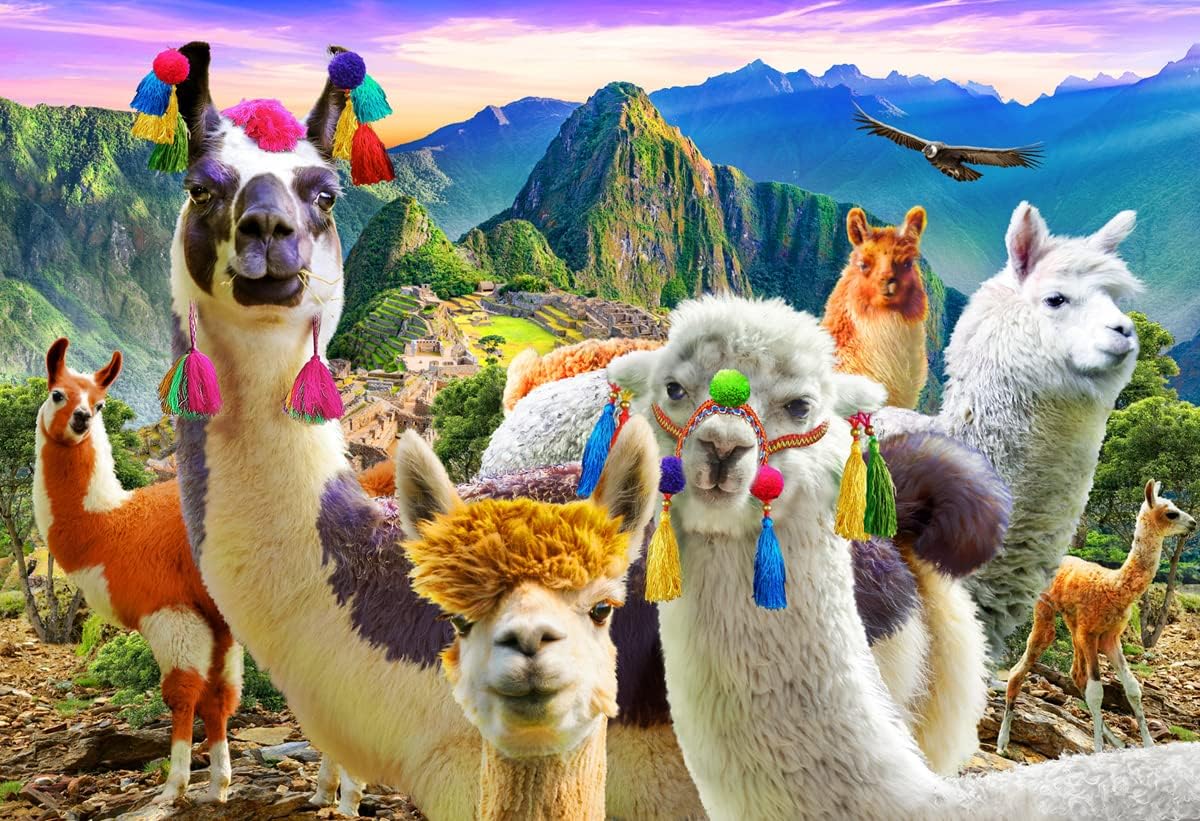 Mountain Llamas, Adrian Chesterman (100pcs)