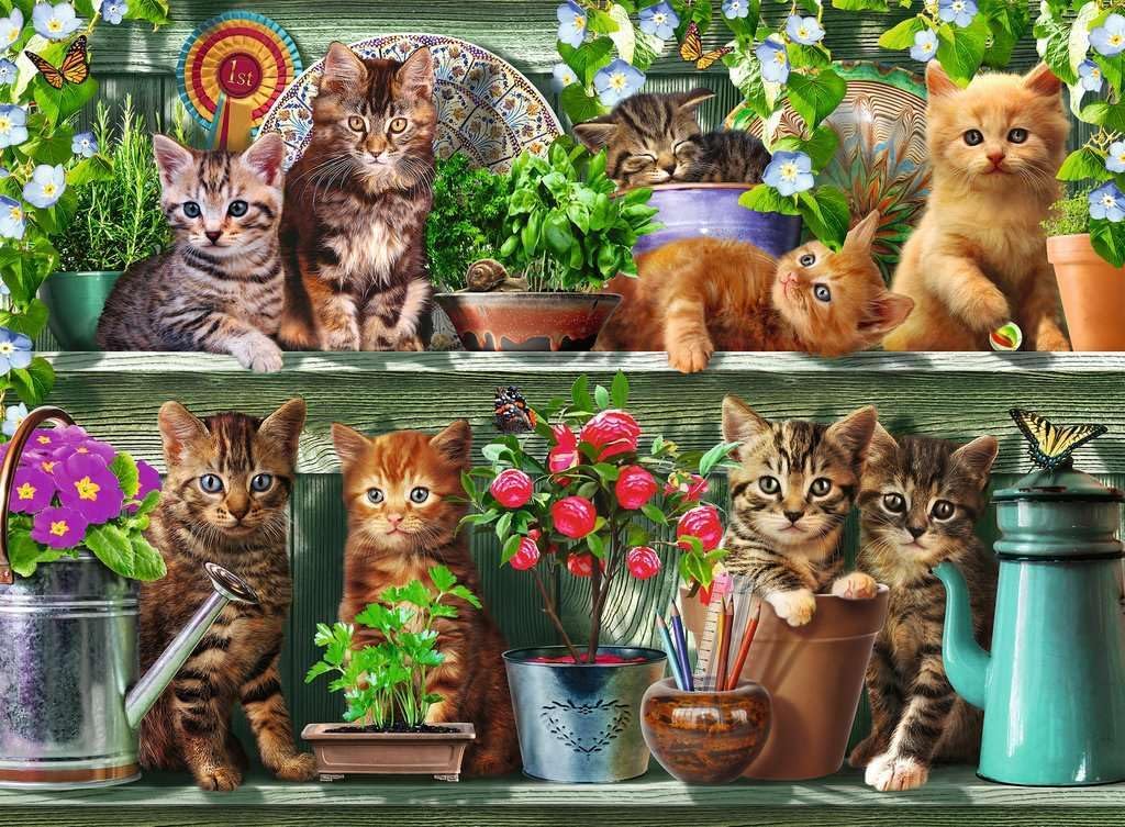 Ravensburger Cats on the Shelf (500pcs)